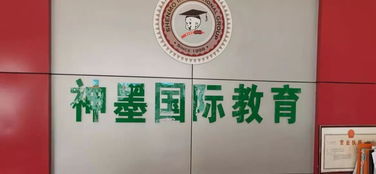 校外培訓機構整治工作有喜有憂，文化藝術交流活動策劃如何助力教育生態(tài)優(yōu)化